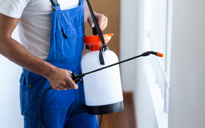 3 Questions You Must Ask Your Pest Control Specialist