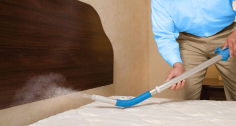 Bed Bug Control & Extermination